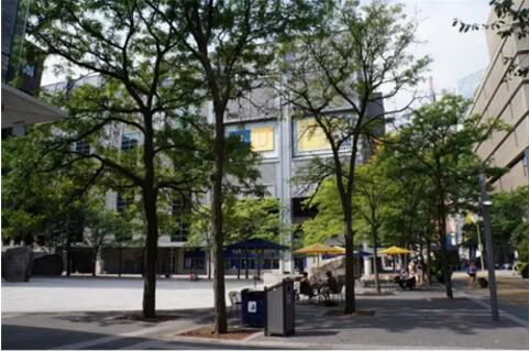 瑞尔森大学 瑞尔森大学