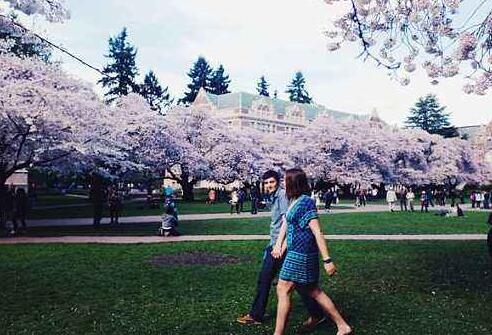 去美国艺术留学西雅图 去美国艺术留学西雅图