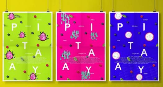 视觉传达专业作品集 视觉传达专业作品集