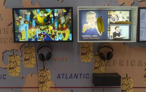 多媒体创作媒介 多媒体创作媒介