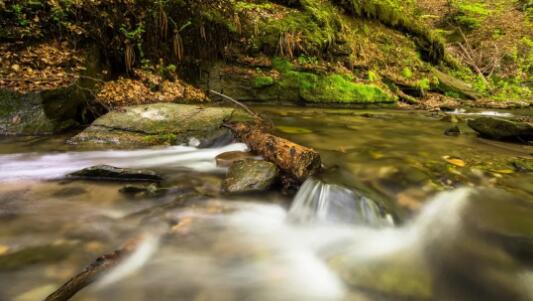 龙门山生物多样性博览园总体概念规划设计 龙门山生物多样性博览园总体概念规划设计